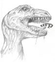 small_t-rex